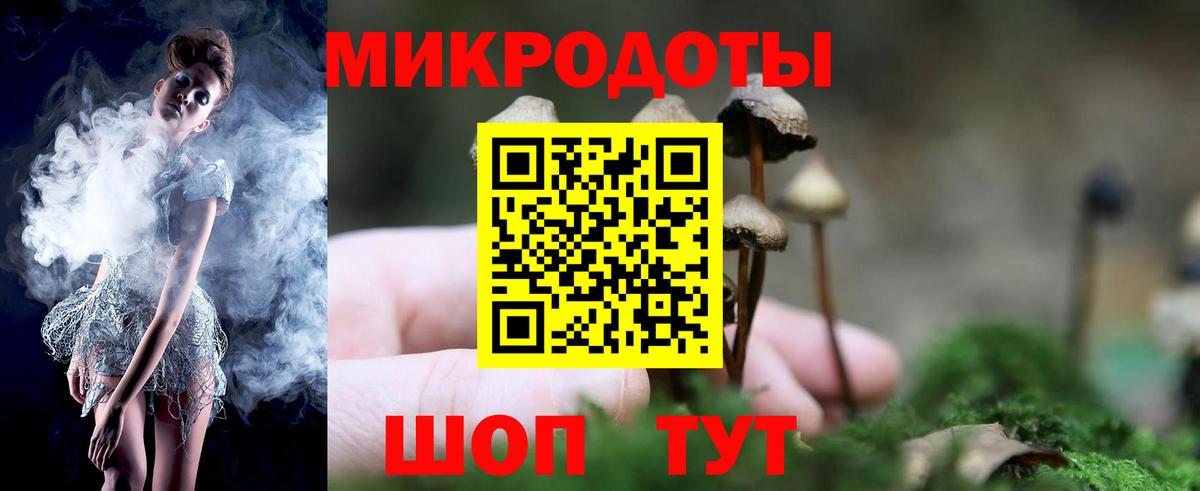 Галлюциногенные грибы прущие грибы  Вход с VPN  Костомукша 
